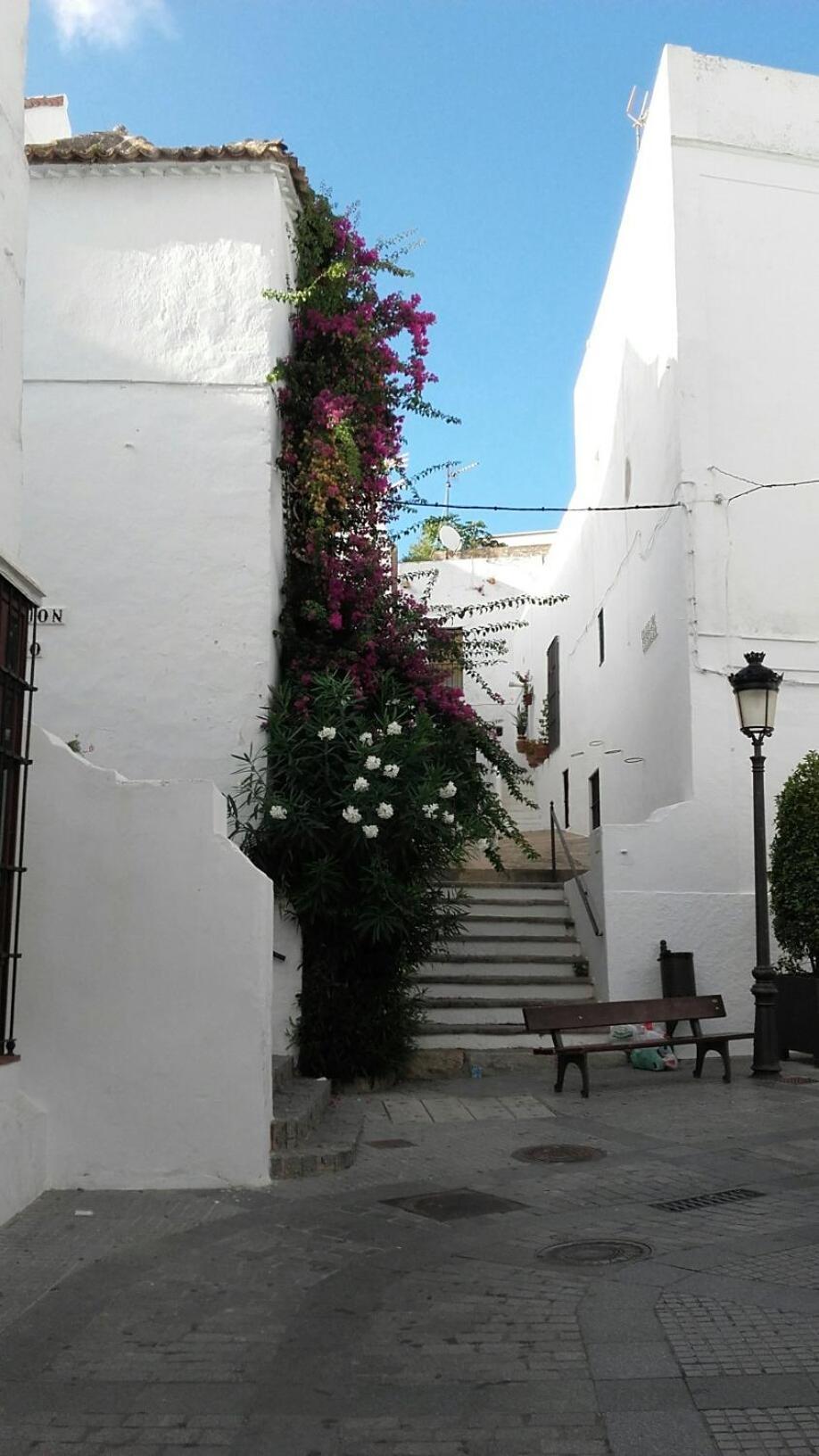 Apartment Casa Calle Alta Maria Bajo *